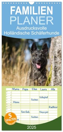 Familienplaner 2025 - ausdrucksvolle Holländische Schäferhunde mit 5 Spalten (Wandkalender, 21 cm x 45 cm), CALVENDO von CALVENDO