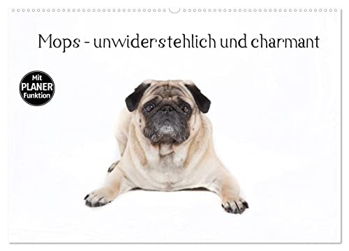 Mops - unwiderstehlich und charmant (Wandkalender 2024 DIN A2 quer), CALVENDO Monatskalender