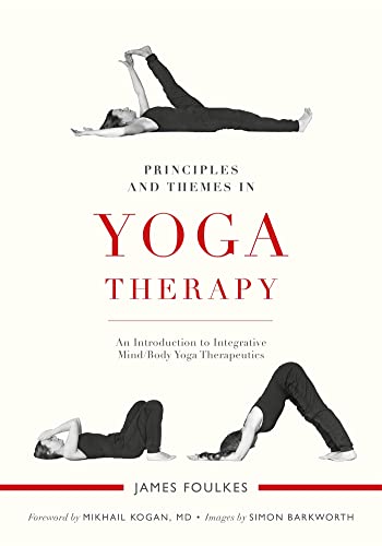 Principles and Themes in Yoga Therapy: An Introduction to Integrative Mind/Body Yoga Therapeutics Principles and Themes in Yoga Therapy: An Introduction to Integrative Mind/Body Yoga Therapeutics von Singing Dragon