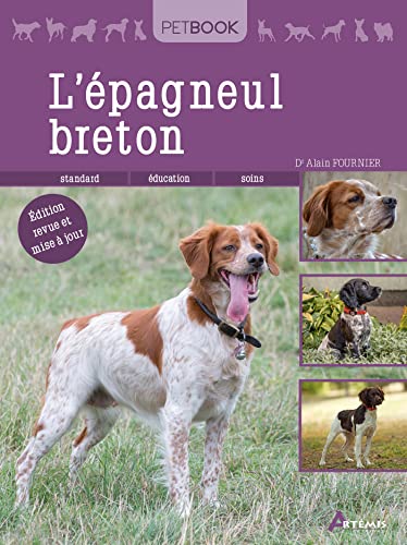 Epagneul breton: 0