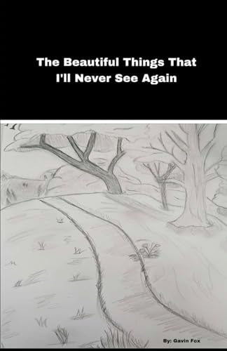 The Beautiful Things That I'll Never See Again von Independently published