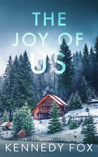 The Joy of Us: A Reverse Grumpy/Sunshine Holiday Romance (Love in Isolation, Band 6) von Independently published