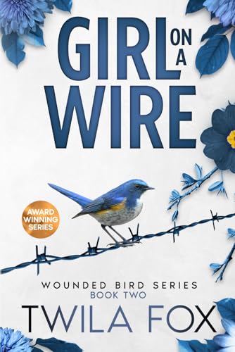 Girl on a Wire: A Friends to Lovers Romance (The Wounded Bird Series, Band 2) von Foundations Book Publisher