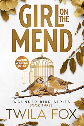Girl on the Mend: A Friends to Lovers Romance (The Wounded Bird Series, Band 3) von Foundations Book Publishing