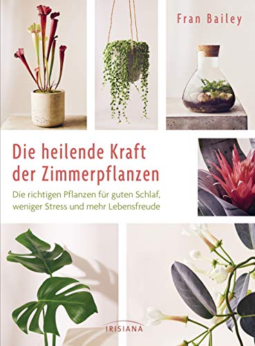 Die heilende Kraft der Zimmerpflanzen: Die richtigen Pflanzen für guten Schlaf, weniger Stress und mehr Lebensfreude - für frische Luft, eine schnelle ... Kopf, mehr Aufmerksamkeit und Mitgefühl von Irisiana