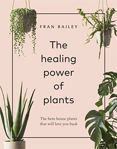 The Healing Power of Plants: The Hero House Plants that Love You Back von Pop Press