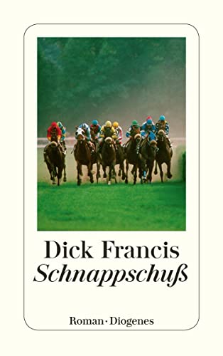 Schnappschuß: Roman (detebe)