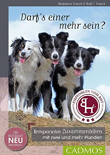 Darf's einer mehr sein: Entspanntes Zusammenleben mit zwei und mehr Hunden