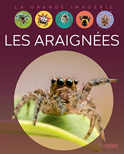 Les araignées von FLEURUS
