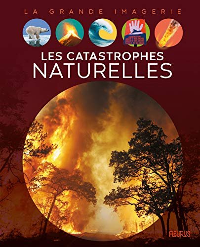 Les catastrophes naturelles von Fleurus