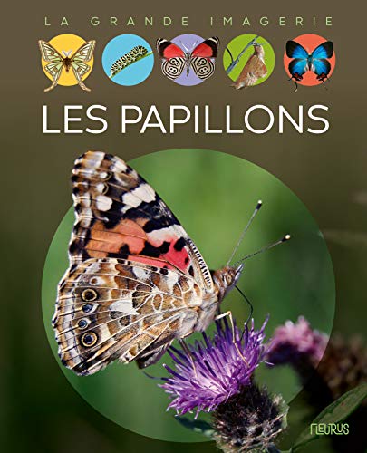 Les papillons von Fleurus