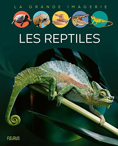 Les reptiles von Fleurus