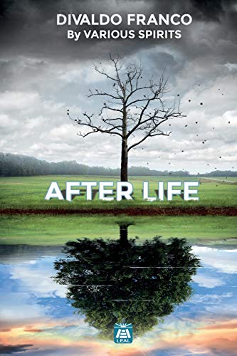 After Life After Life