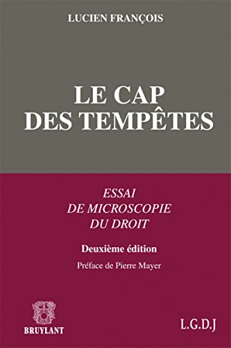 Le cap des tempêtes: Essai de microscopie du droit