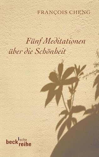 Fünf Meditationen über die Schönheit (Beck'sche Reihe)