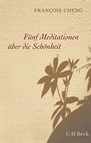 Fünf Meditationen über die Schönheit (Beck Paperback)