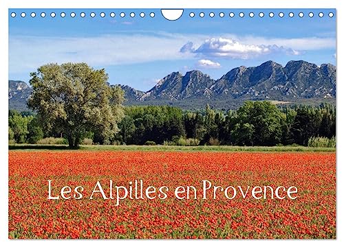 Les Alpilles en Provence (Wandkalender 2025 DIN A4 quer), CALVENDO Monatskalender von CALVENDO