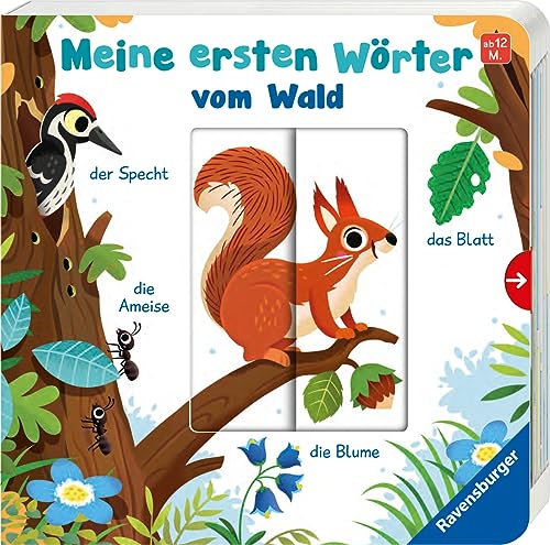Meine ersten Wörter vom Wald - Sprechen lernen mit großen Schiebern und Sachwissen für Kinder ab 12 Monaten von Ravensburger Verlag