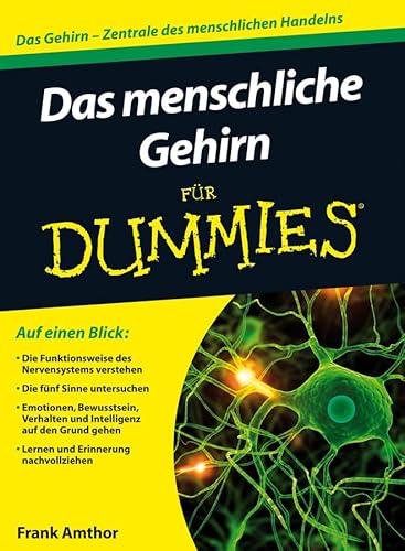 Das menschliche Gehirn für Dummies