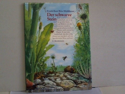 Der schwarze Stein von C. Bertelsmann