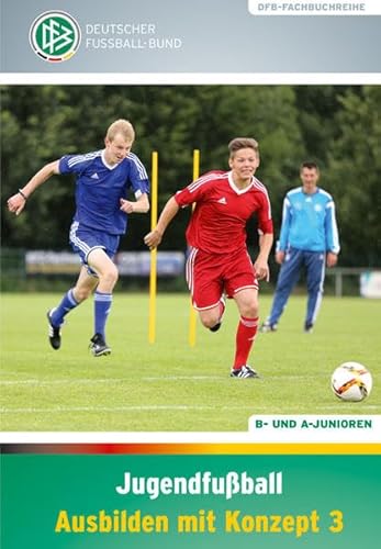 Jugendfußball - Ausbilden mit Konzept 3: B- und A-Junioren (DFB-Fachbuchreihe)