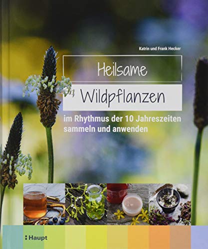 Heilsame Wildpflanzen: im Rhythmus der 10 Jahreszeiten sammeln und anwenden