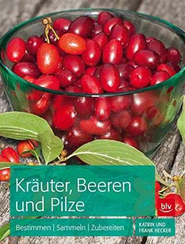 Kräuter, Beeren und Pilze: Bestimmen Sammeln Zubereiten