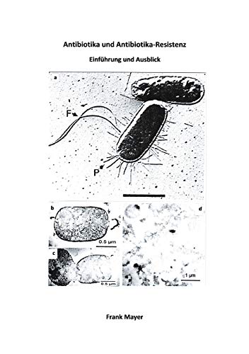 Antibiotika und Antibiotika-Resistenz: Einführung und Ausblick