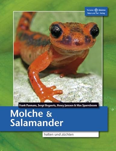 Molche und Salamander halten und züchten: Schwanzlurche (Urodela) (Terrarien-Bibliothek) von Natur und Tier-Verlag