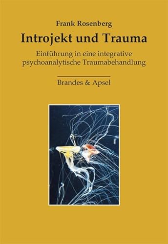 Introjekt und Trauma: Einführung in eine integrative psychoanalytische Traumabehandlung