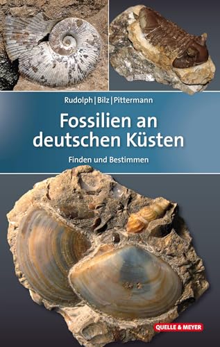 Fossilien an deutschen Küsten: Finden und Bestimmen (Quelle & Meyer Bestimmungsbücher)