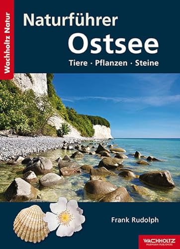 Naturführer Ostsee: Tiere, Pflanzen, Steine