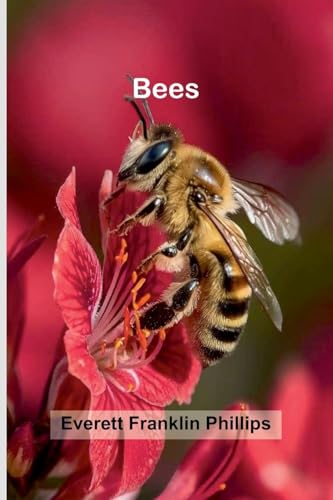 Bees von Alpha Edition