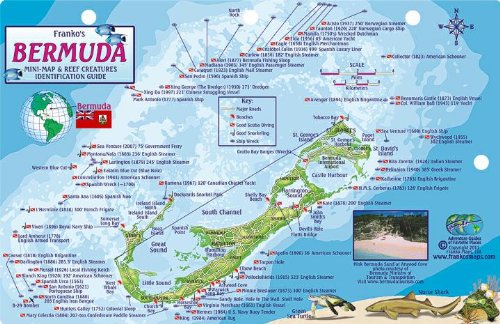 Bermuda Dive Map & Reef Creatures Guide Franko Maps Laminated Fish Card