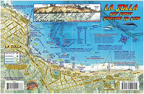 La Jolla Shores Map & Kelp Forest Creatures Guide Franko Maps Laminated Fish Card