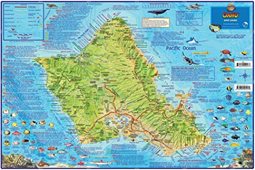 Oahu Hawaii Dive & Snorkeling Map Laminated Poster