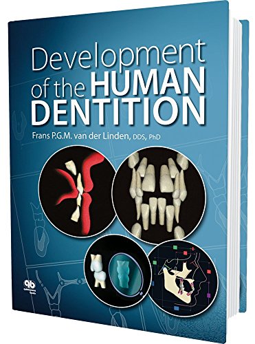 Development of the Human Dentition