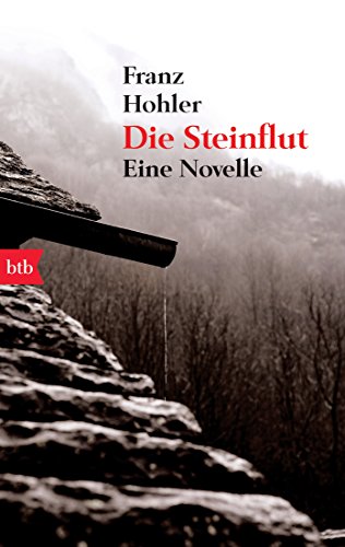 Die Steinflut: Eine Novelle von btb
