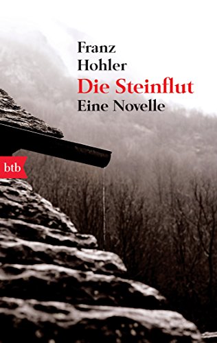 Die Steinflut: Eine Novelle von btb Taschenbuch