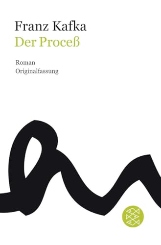 Der Proceß: Roman