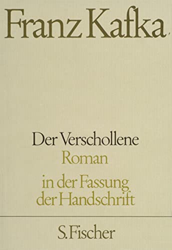 Der Verschollene: Roman von FISCHER, S.