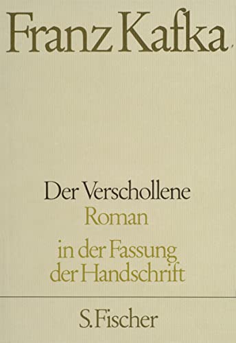 Der Verschollene: Roman