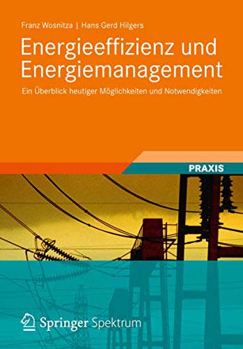 Energieeffizienz und Energiemanagement: Ein Überblick heutiger Möglichkeiten und Notwendigkeiten von Springer
