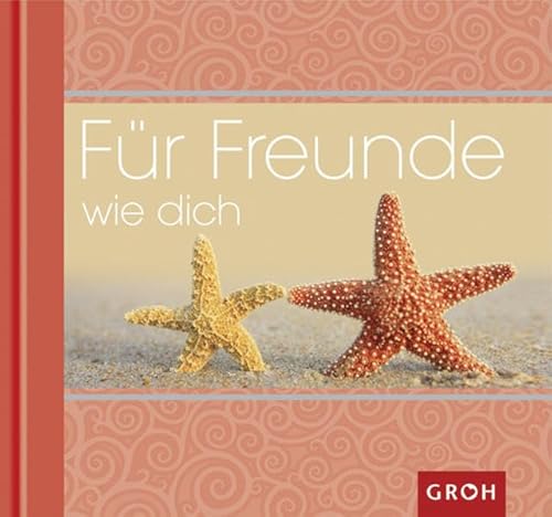 Für Freunde wie dich (Wunschüberbringer) von Groh Verlag