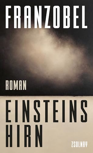 Einsteins Hirn: Roman