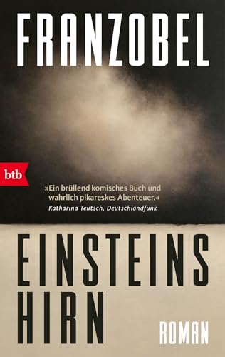 Einsteins Hirn: Roman