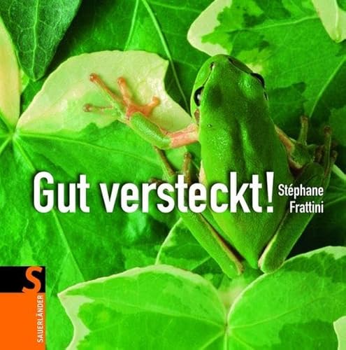 Gut versteckt! (Sauerländer Kindersachbuch) von Fischer Sauerländer