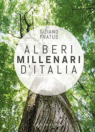 Alberi millenari d'Italia. Un viaggio fra i boschi nascosti. Ediz. a colori (Straordinariamente) von STRAORDINARIAMENTE