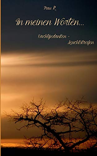In meinen Worten...: Nachtgedanken - Leuchtstreifen