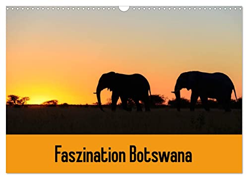 Faszination Botswana (Wandkalender 2024 DIN A3 quer), CALVENDO Monatskalender